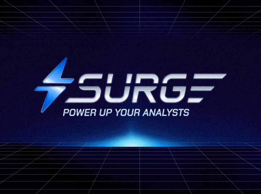 Surge Security